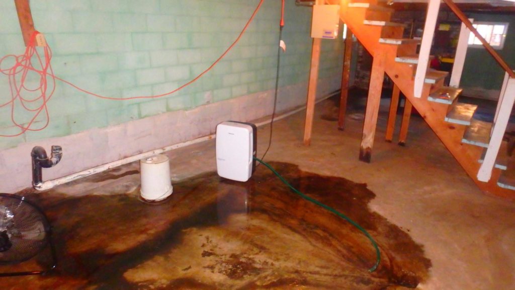 Drying a wet basement in Worcester